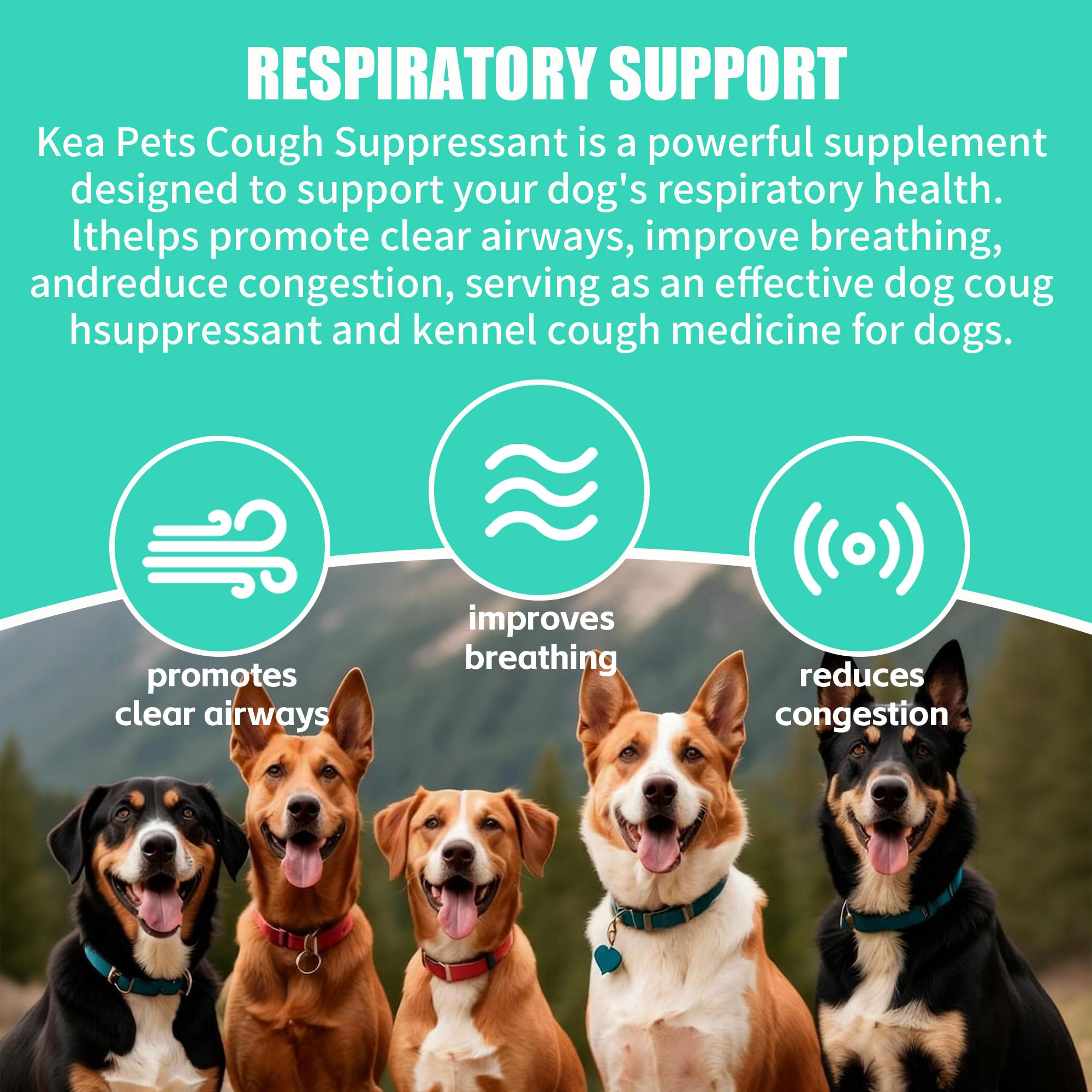 VivaElixir kennel cough support scene emphasizing seasonal immune readiness.