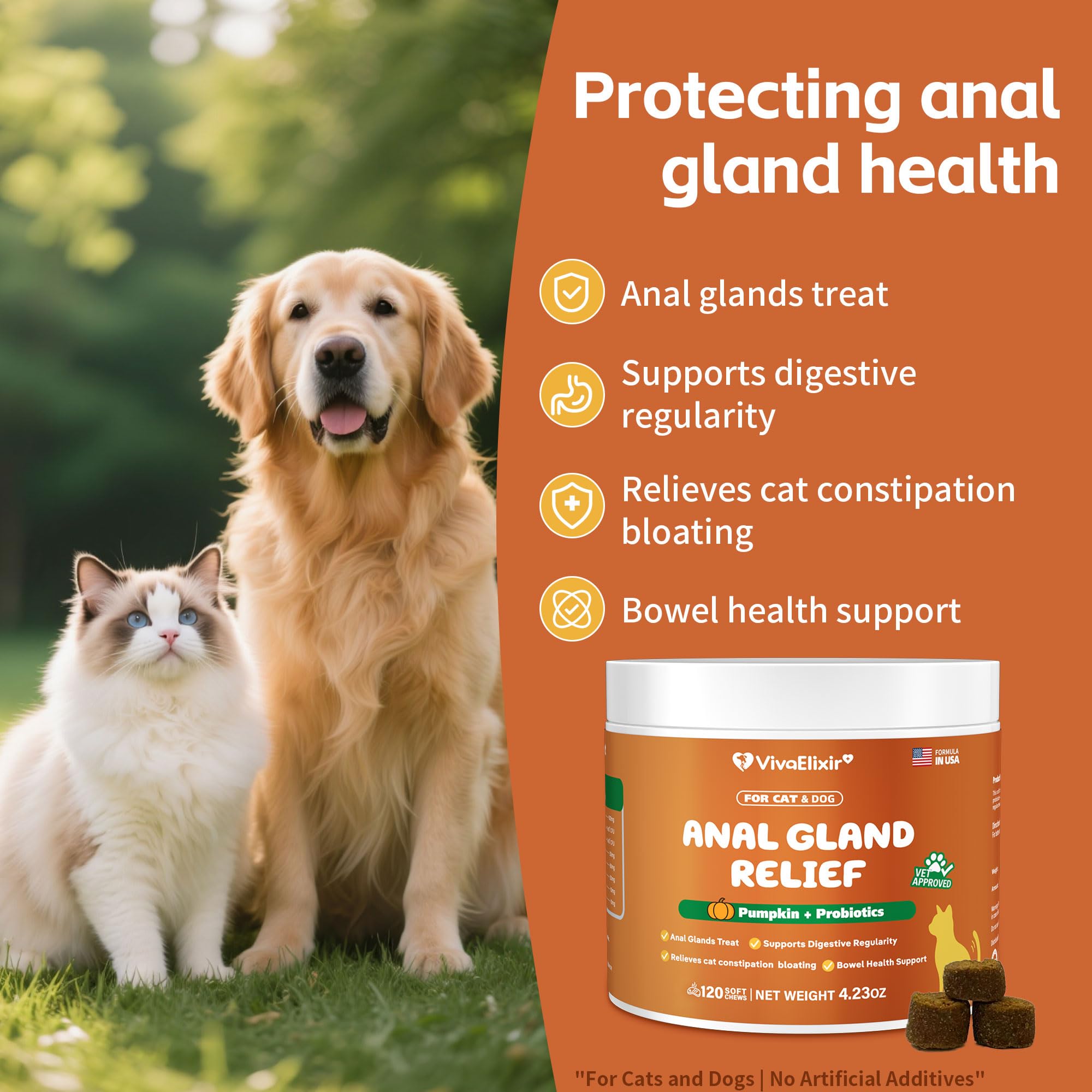 VivaElixir pumpkin probiotic soft chews close-up showing chicken flavor and daily digestive care