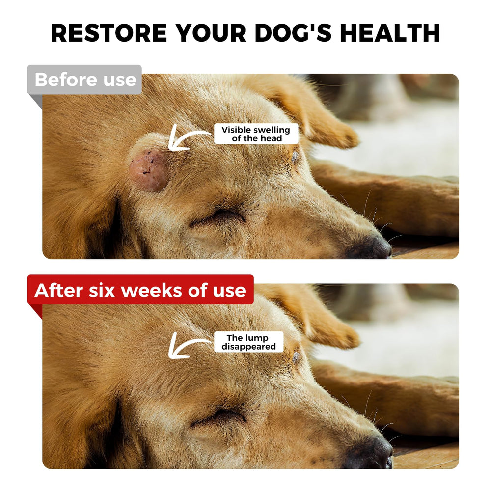 VivaElixir maitake dog lipoma-support tablet promoting healthy tissues.
