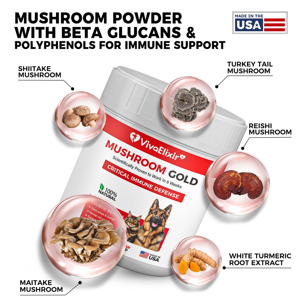 VivaElixir reishi dog pill highlighting premium mushroom blend for wellness.
