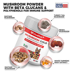 VivaElixir reishi dog pill highlighting premium mushroom blend for wellness.
