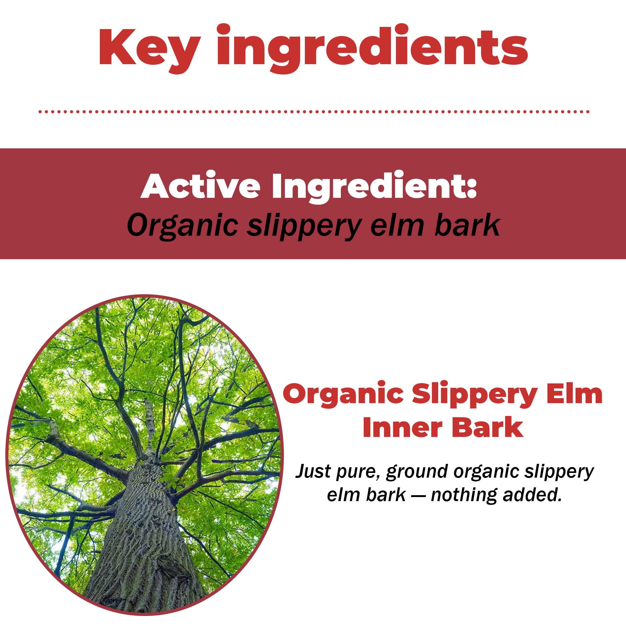 VivaElixir slippery elm-esophagus-coating-gel forms protective coating for easier swallowing