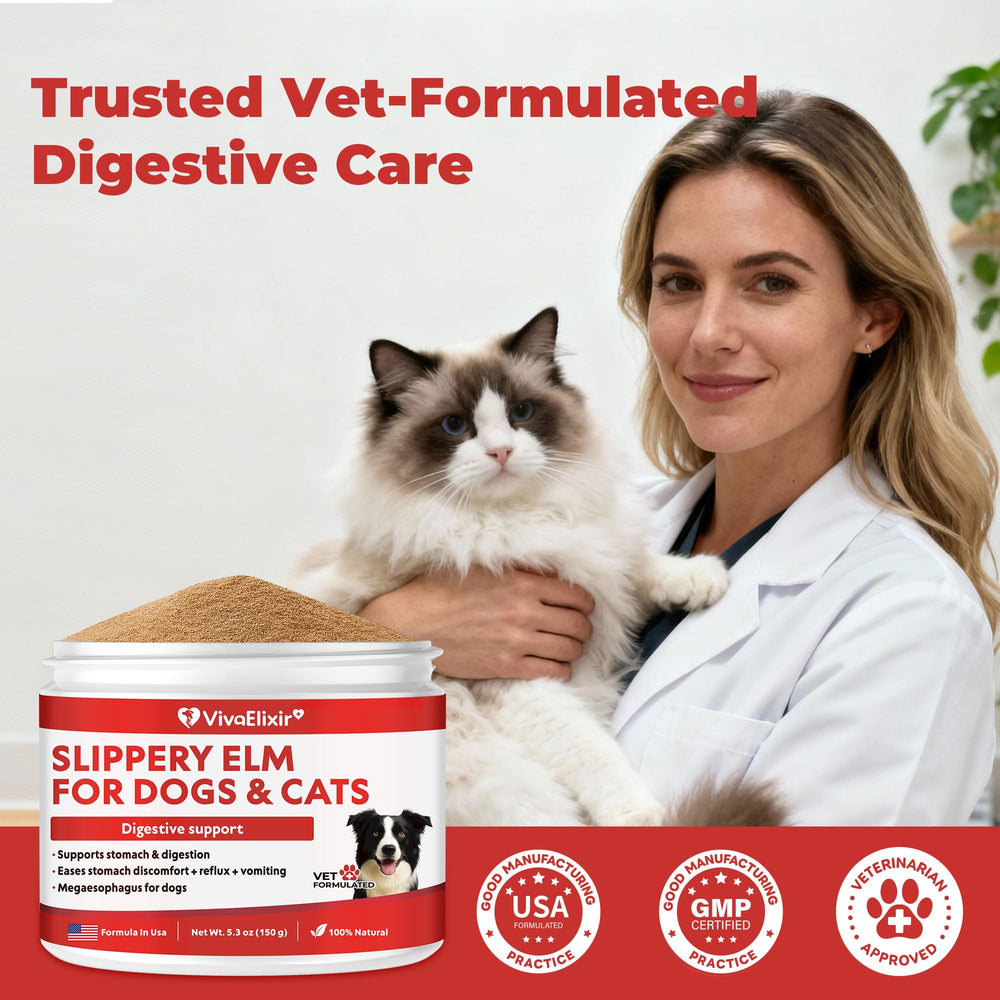 VivaElixir slippery-elm-feeding-plan-ease demonstrates simple meal integration for megaesophagus pets