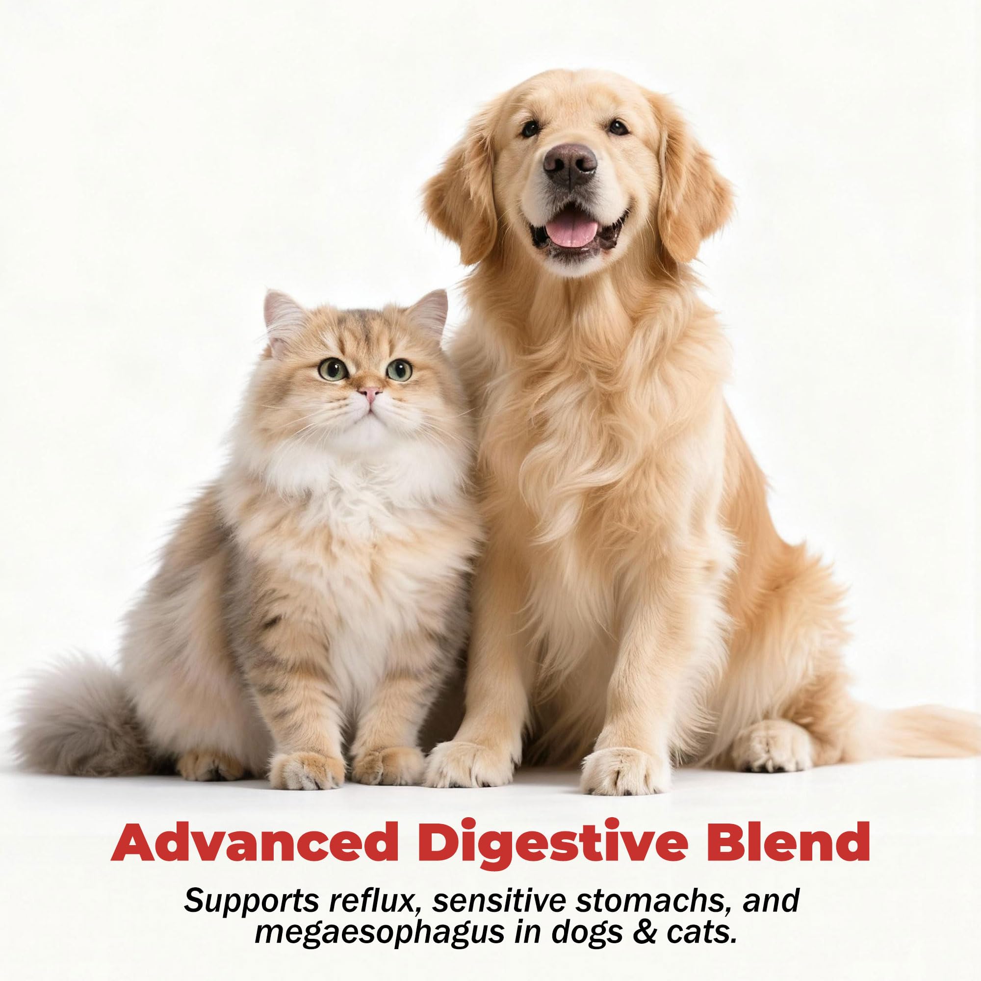 VivaElixir organic-bark-powder shows organic slippery elm for easy incorporation