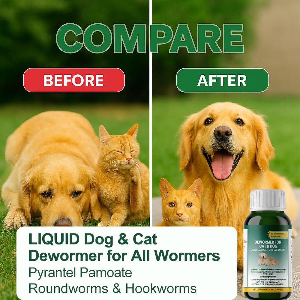 VivelysZoa flavored dewormer for dogs and cats supports easy dosing.
