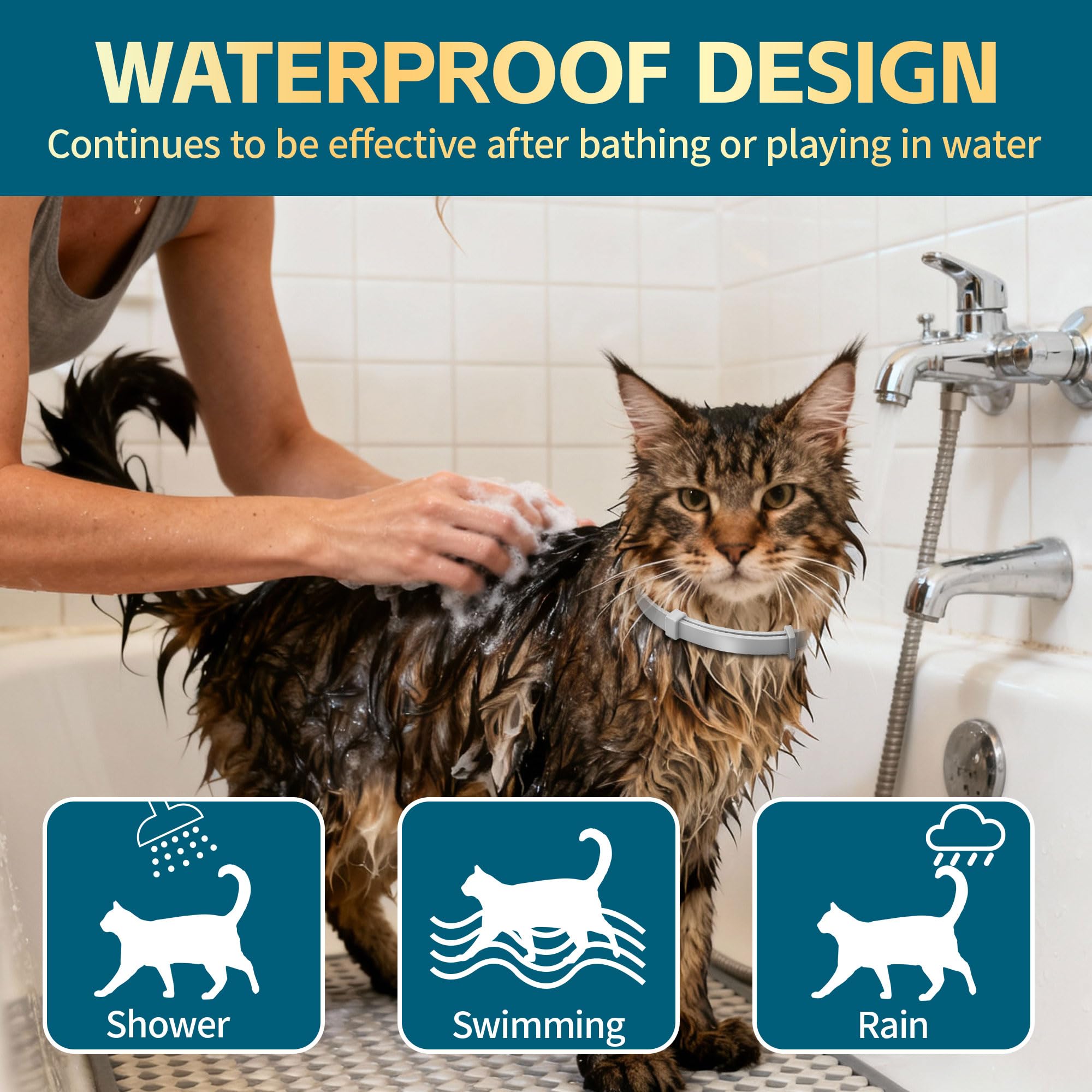 VivaElixir collar on cat neck demonstrates secure, comfortable fit