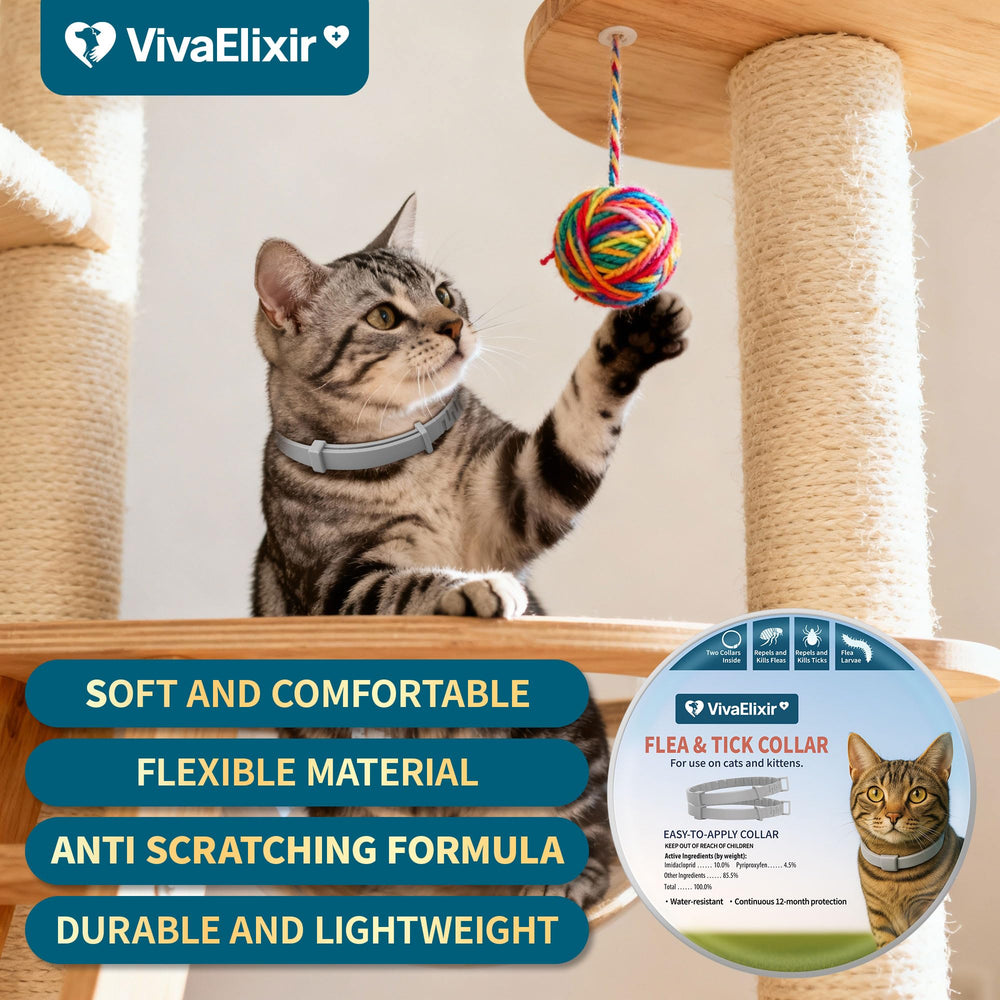 VivaElixir collar tin packaging for easy storage and transport