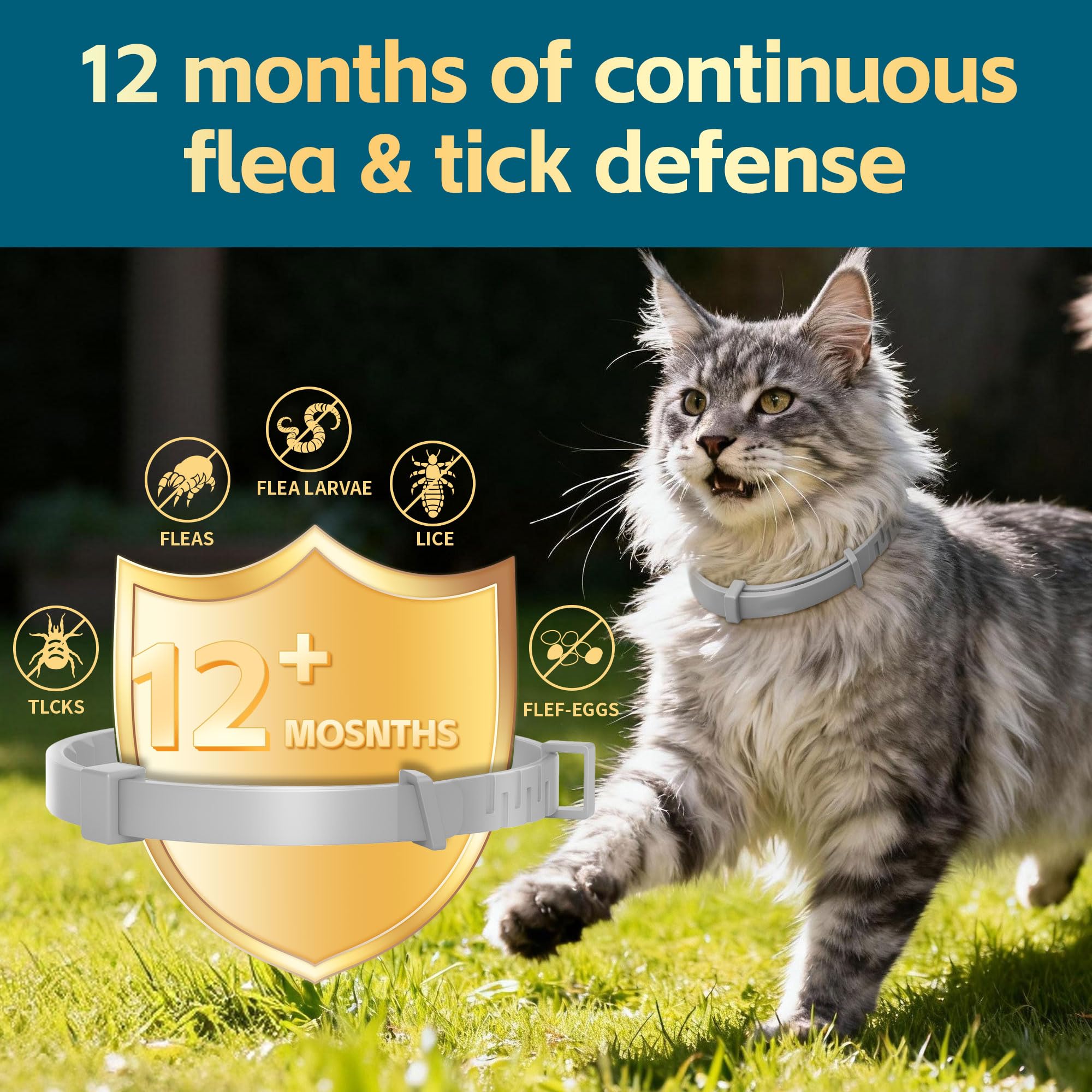 VivaElixir cat collar waterproof—safe during swimming and baths