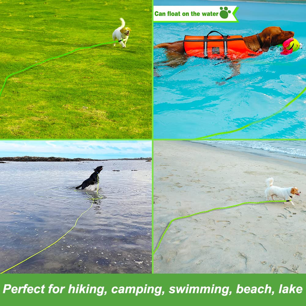 Vivifying 20ft Long Leash for recall training in parks and yards