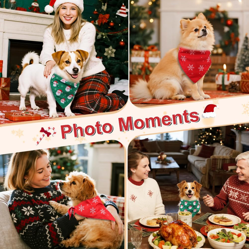 Vivifying Christmas dog bandana pack — two festive scarves