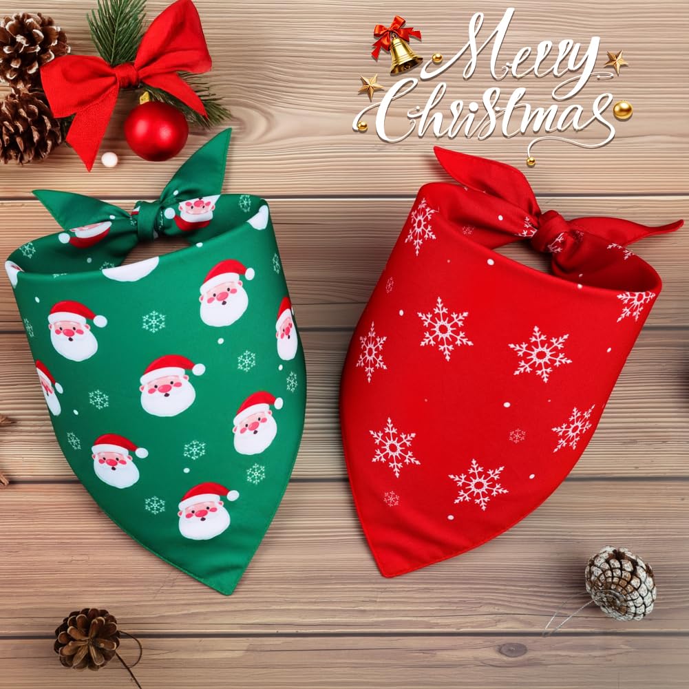 Vivifying dog bandana on winter walk, stylish winter accessory during outings.