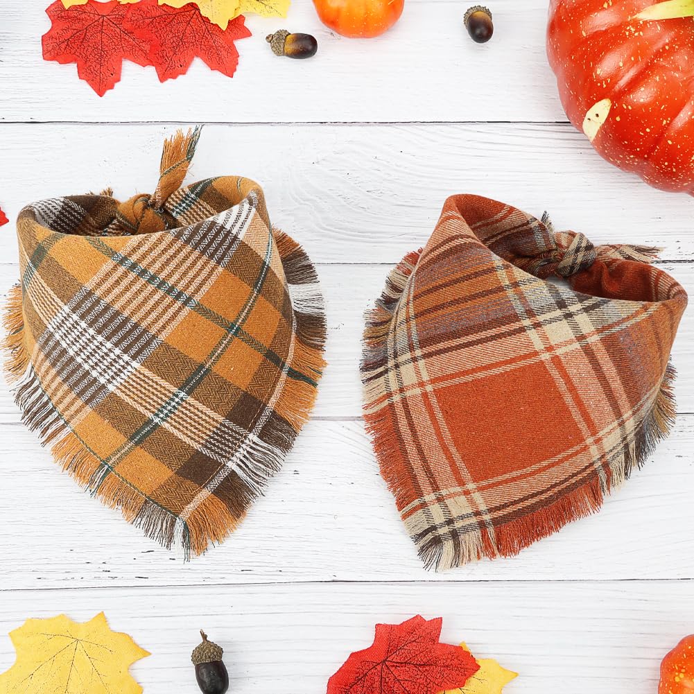 Vivifying dog bandana worn on a dog during a photo session for seasonal style