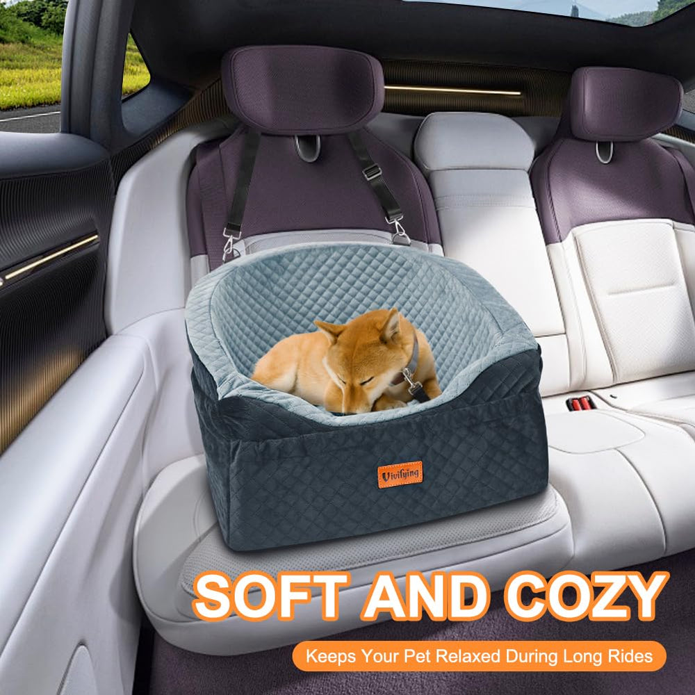 Vivifying seat features safety leash attached to harness for secure restraint.