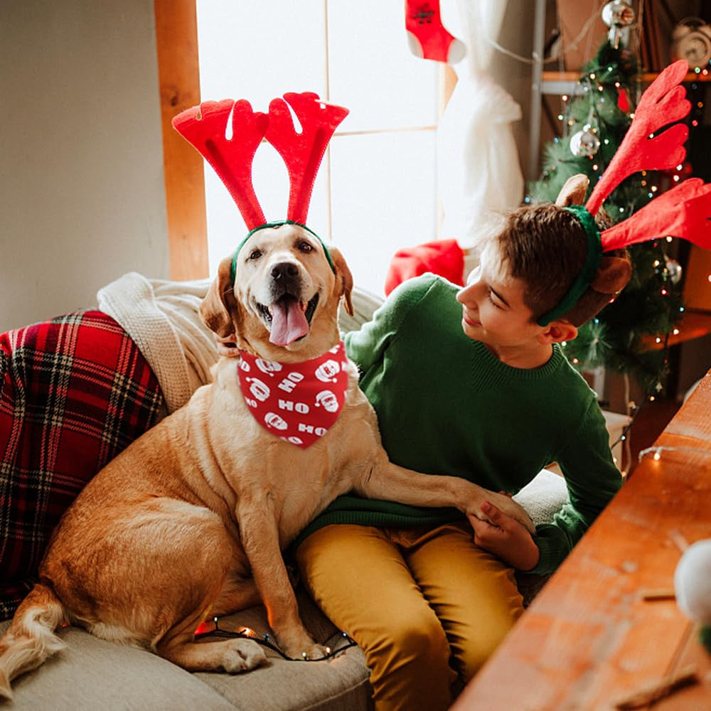 Vivifying double-layer design increases durability for longer wear across holidays
