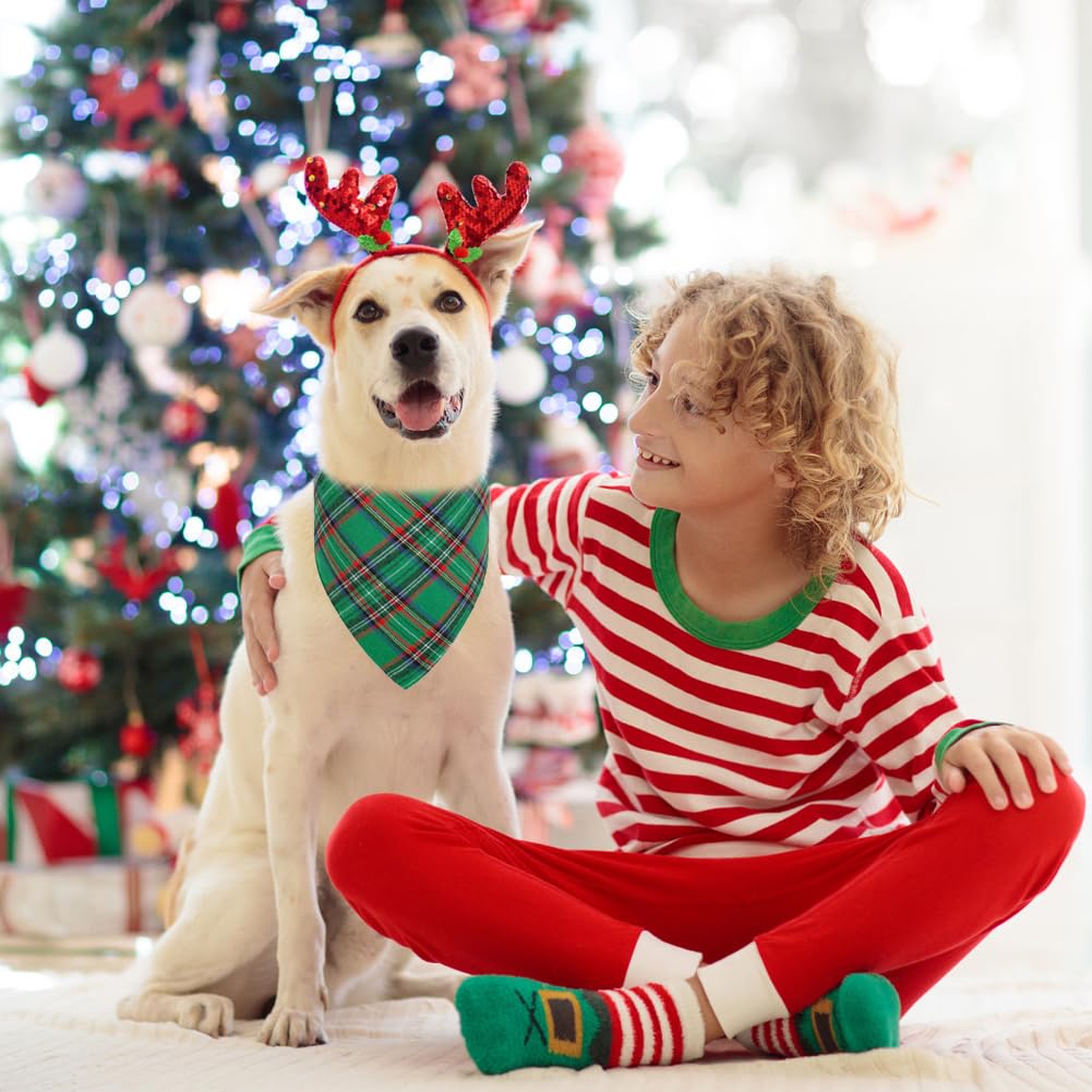 Vivifying extra large Christmas bandana on dog neck up to 21 inches