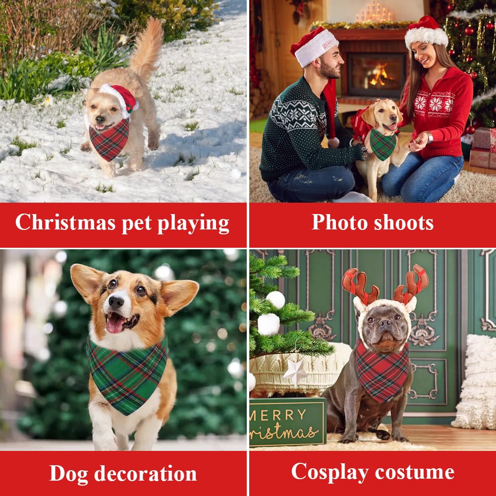 Vivifying dog christmas bandana green plaid on large dog during photo session.