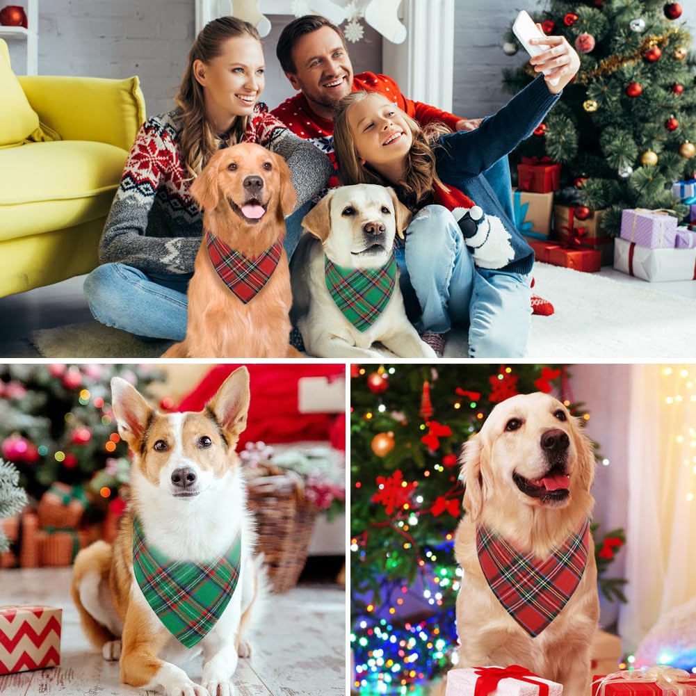 Vivifying large size Christmas bandana on dog neck up to 17 inches
