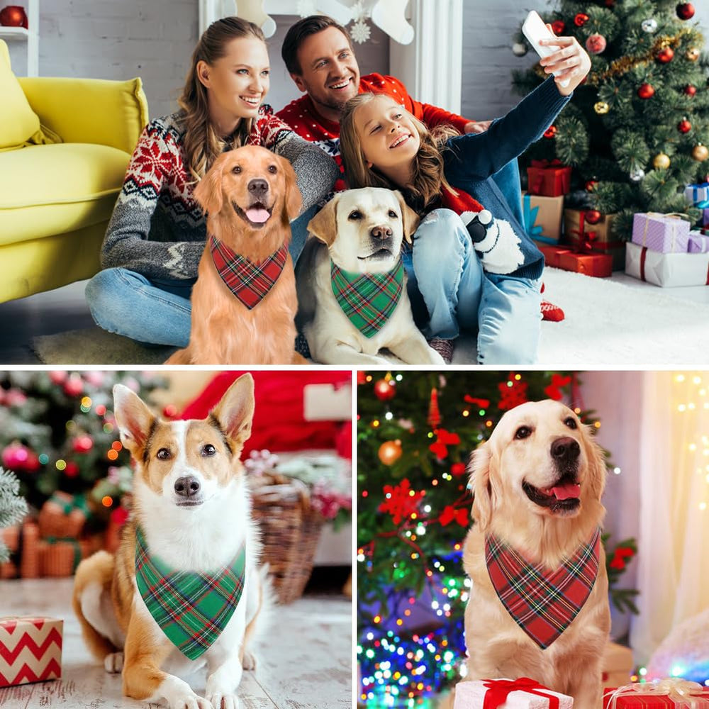 Vivifying large size Christmas bandana on dog neck up to 17 inches