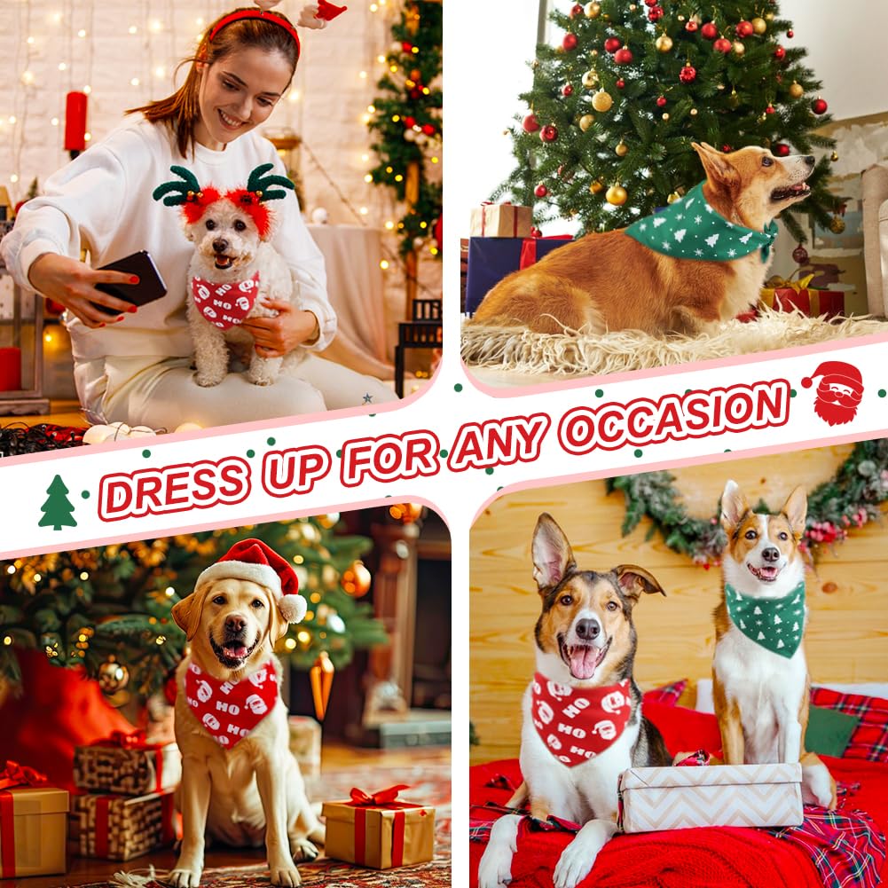 Vivifying dog Christmas bandana snowflakes green provides cute appeal for family gatherings