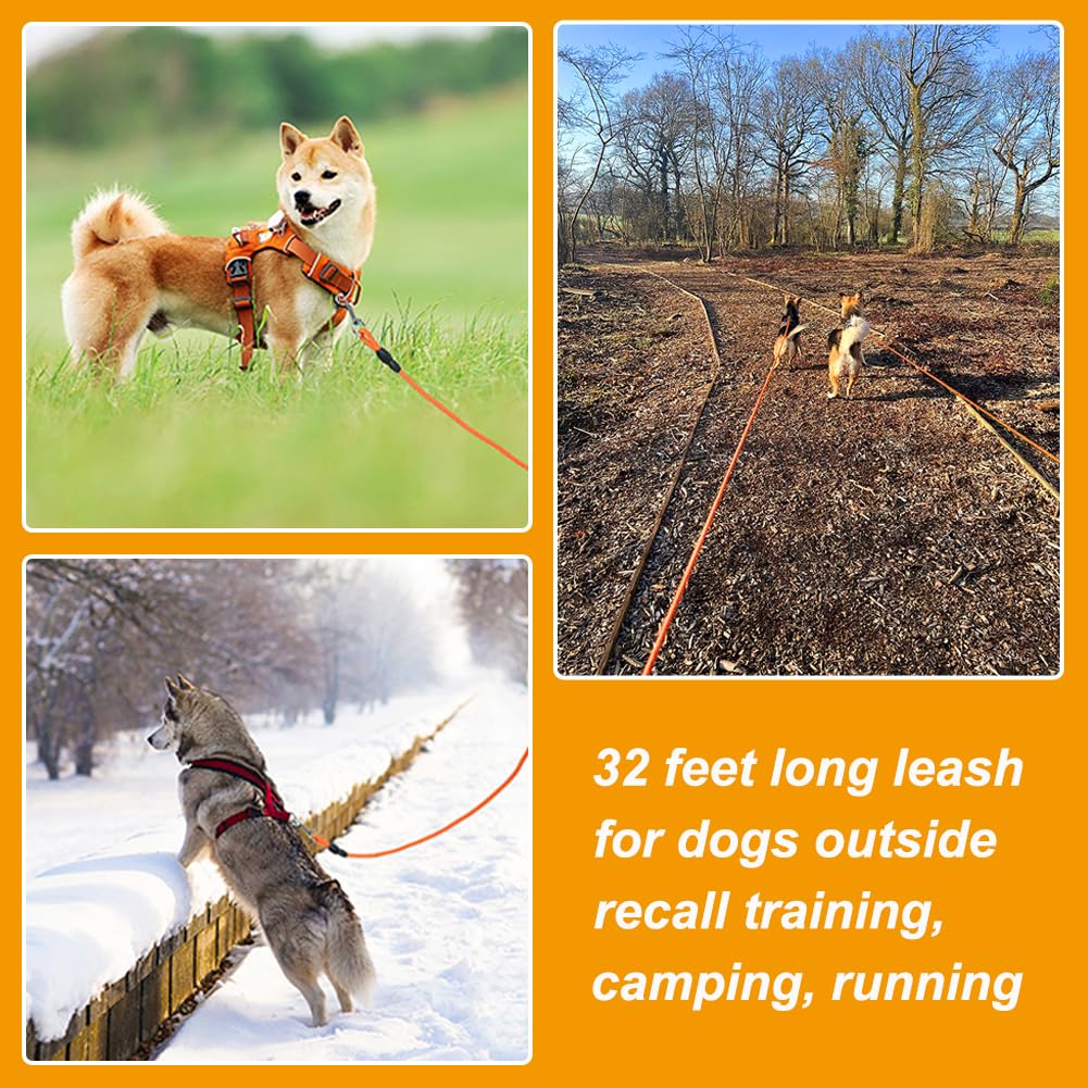 Vivifying leash suitable for small and medium dogs, expands training options.