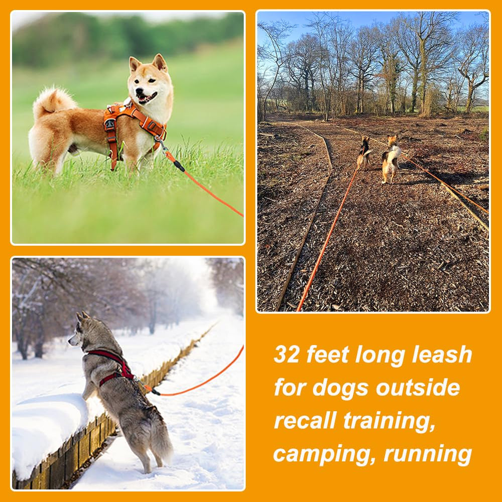 Vivifying leash suitable for small and medium dogs, expands training options.