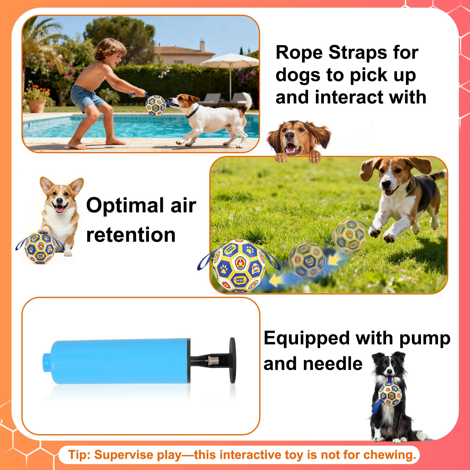 Vivifying easy-grab nylon straps support interactive tug and fetch.