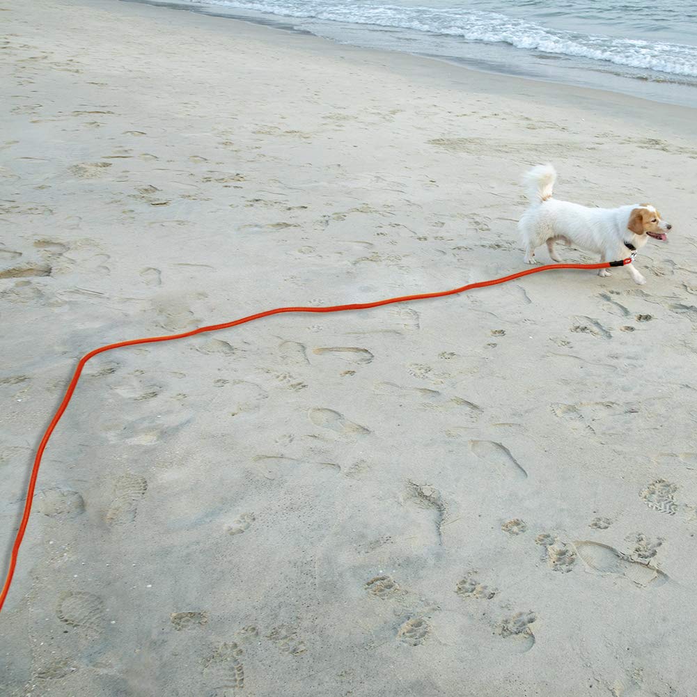 Vivifying floating leash on beach or lake enhances visibility and safety.