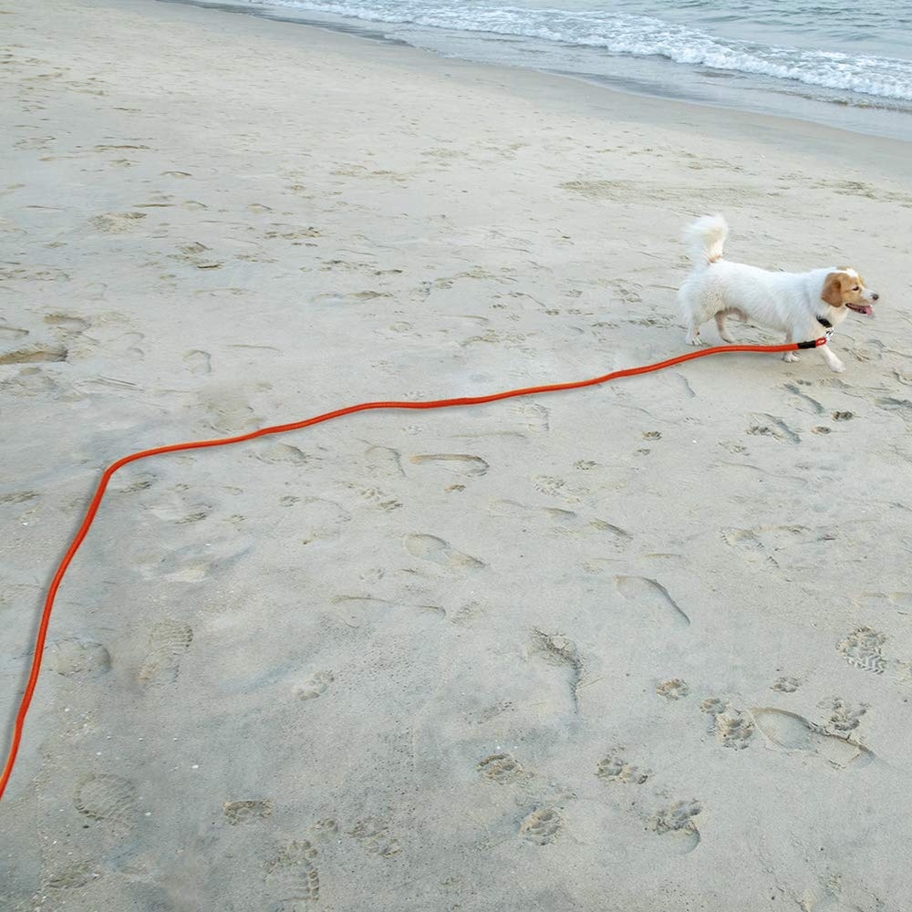 Vivifying floating leash on beach or lake enhances visibility and safety.