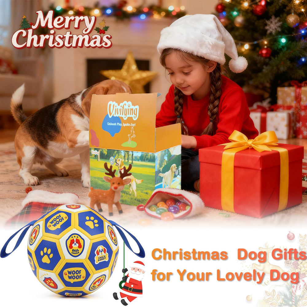 Vivifying floatable dog ball for pool and lake adventures.