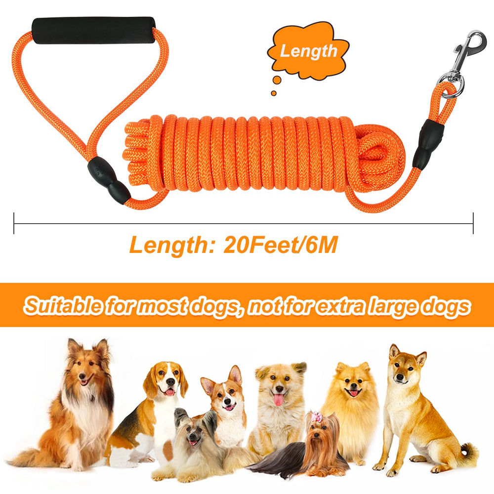 Vivifying hiking outdoor leash captures park or trail use with long-distance control.