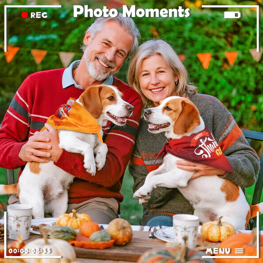 Vivifying holiday dog photo moment featuring red and yellow bandanas