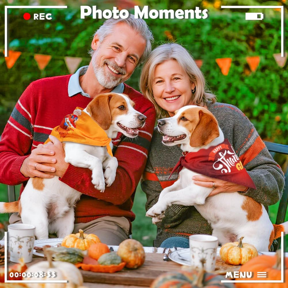 Vivifying holiday dog photo moment featuring red and yellow bandanas