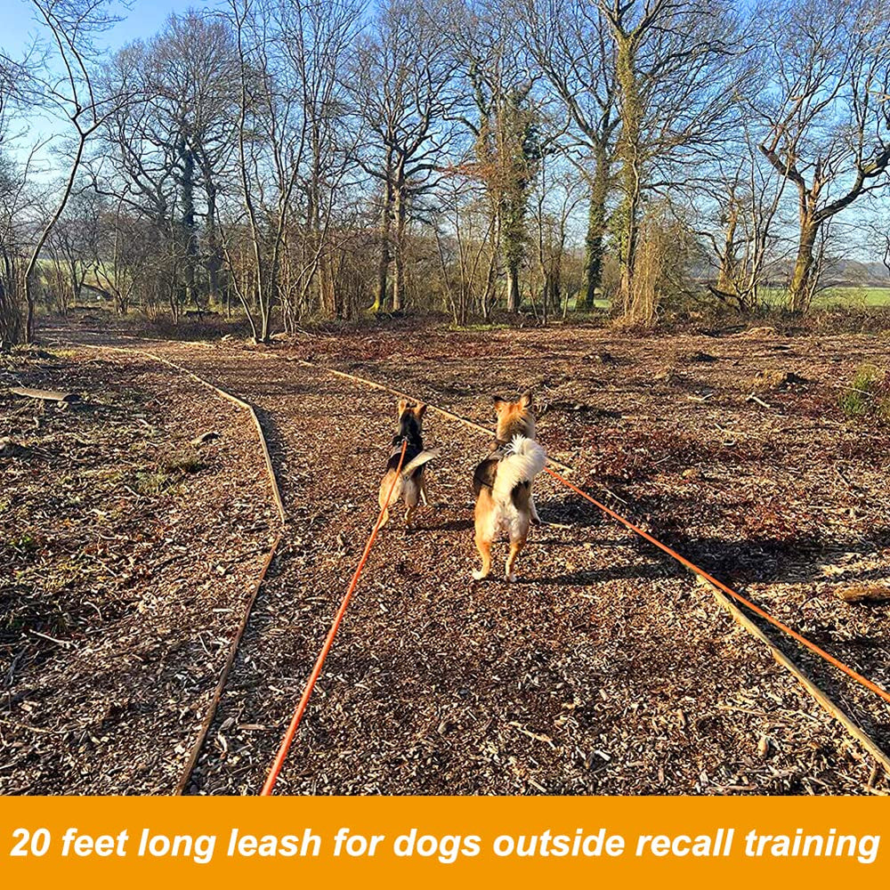 Vivifying lake beach leash demonstrates water-friendly, floatable cord for swimming or shore days.