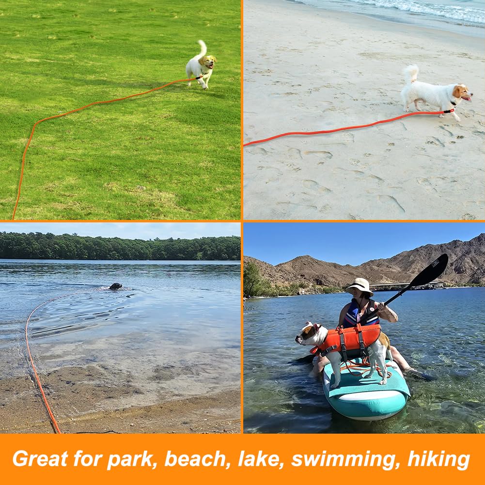 Vivifying lightweight dog leash image emphasizes easy handling for outdoor adventures.