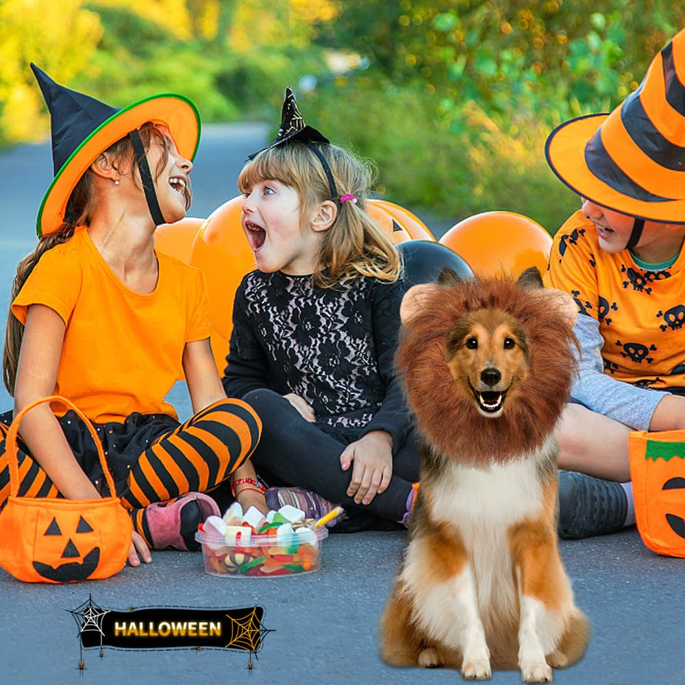 Vivifying lion mane on a large dog during a playful outdoor shoot.