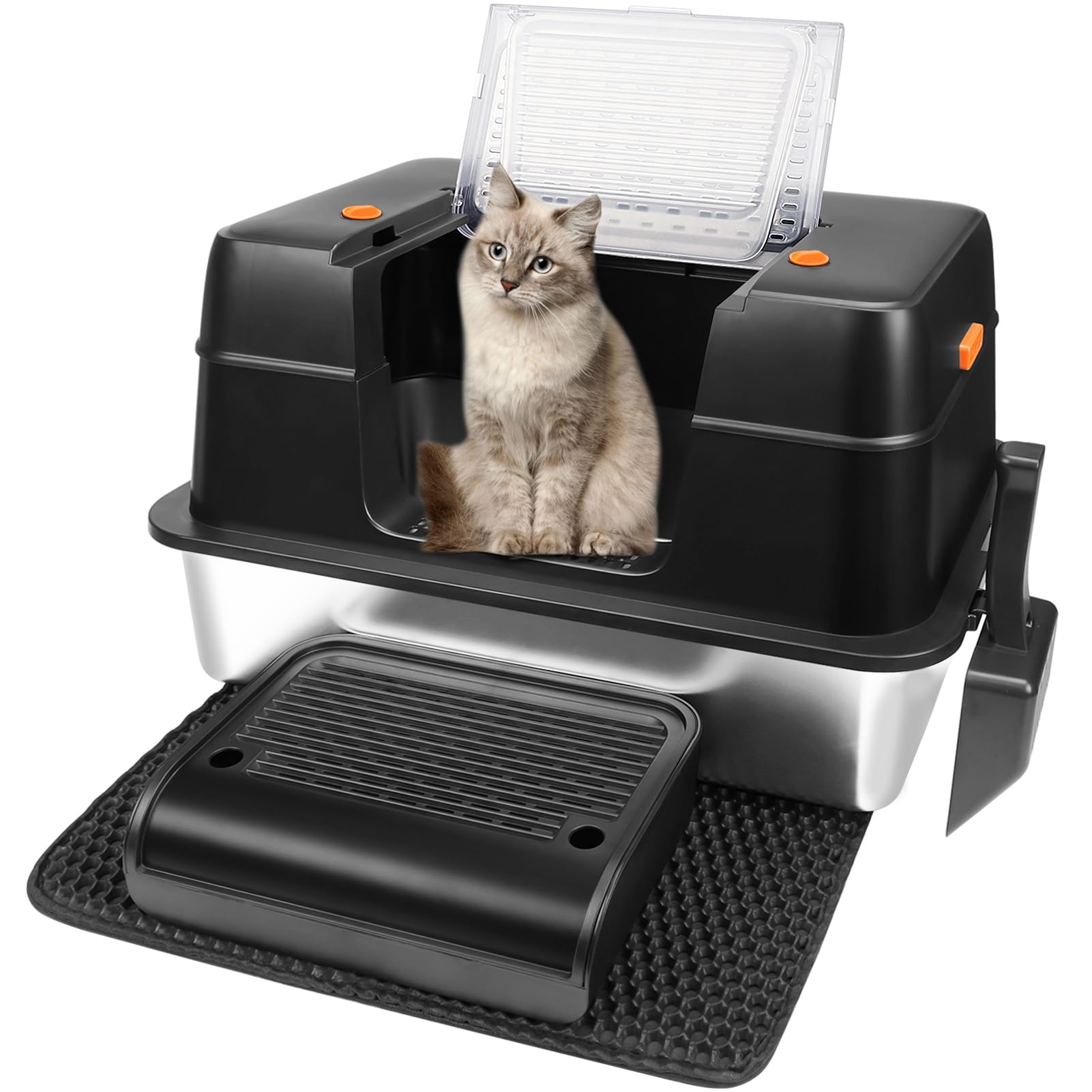 Vivifying instruction manual guides setup and use.