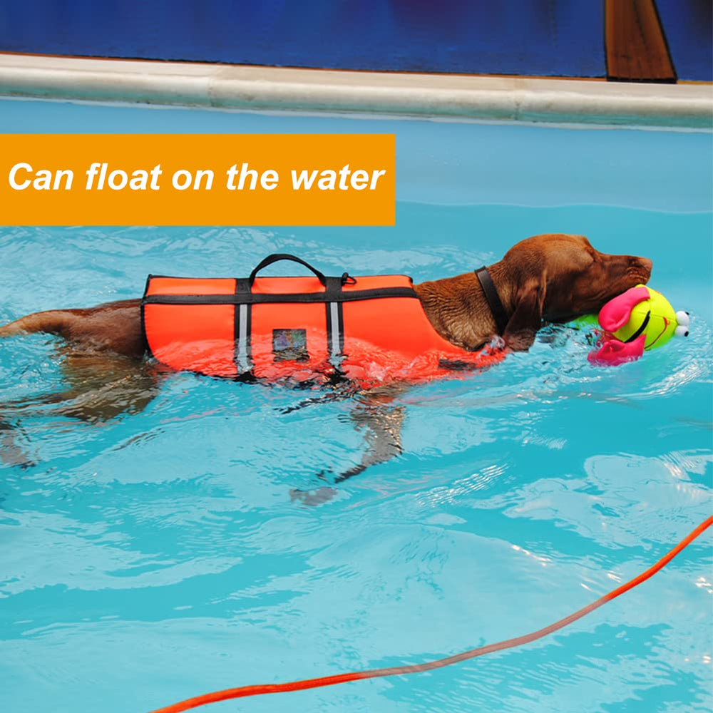 Vivifying long dog leash training-use supports outdoor recall training sessions.