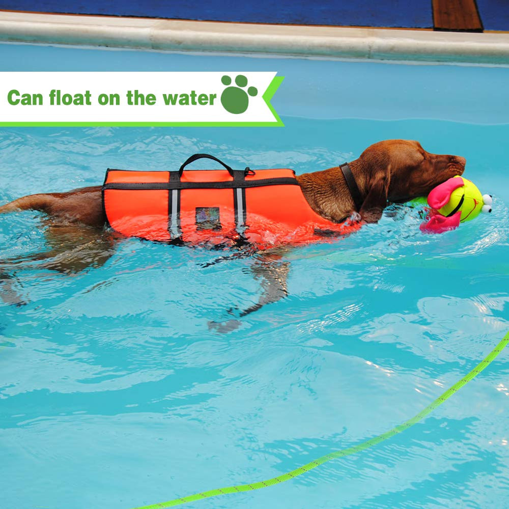 Vivifying Reflective leash enhances safety on late-night walks