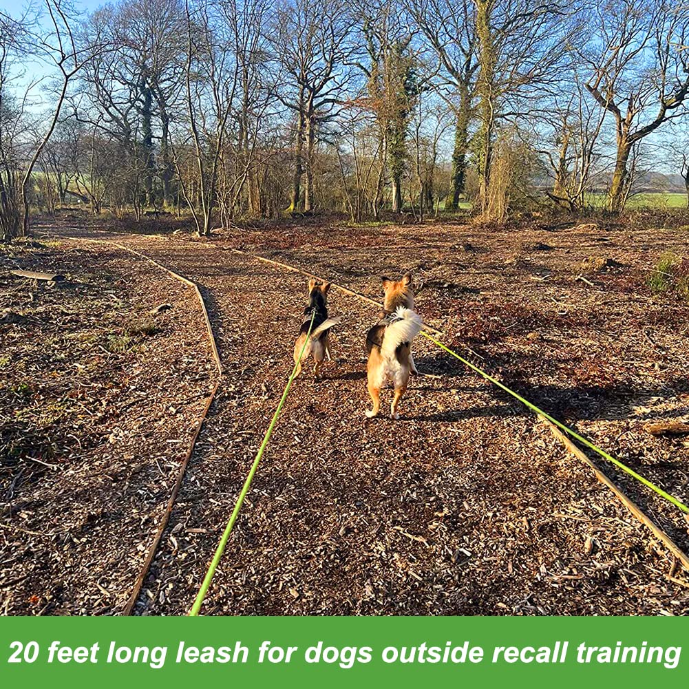 Vivifying Outdoor Leash supports hiking and camping with rugged versatility