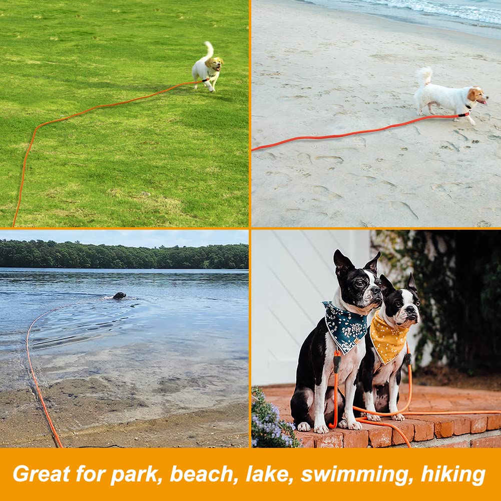 Vivifying park recall training leash reference shows versatile training in public spaces.