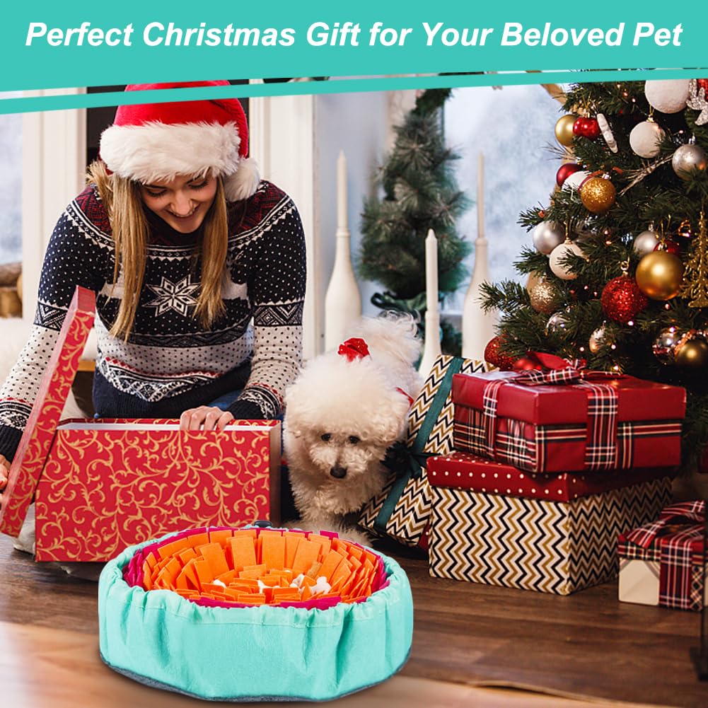 Vivifying Snuffle Mat for Dogs living room scene with treats and curious dog