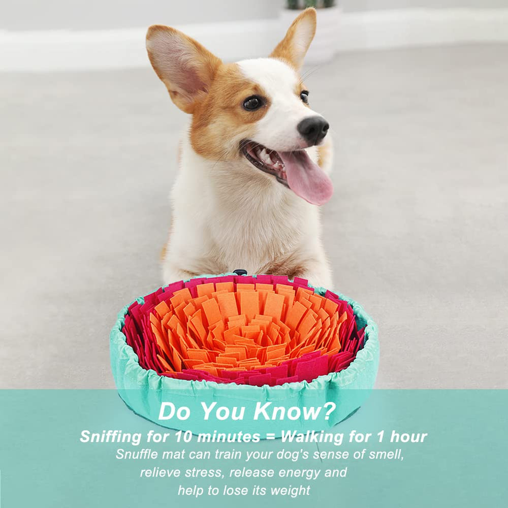 Vivifying Snuffle Mat for Dogs small breed foraging session for enrichment