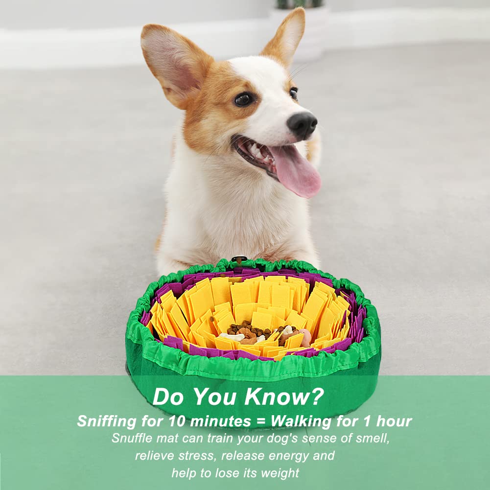 Vivifying snuffle mat treat-hiding feature promotes natural foraging routines