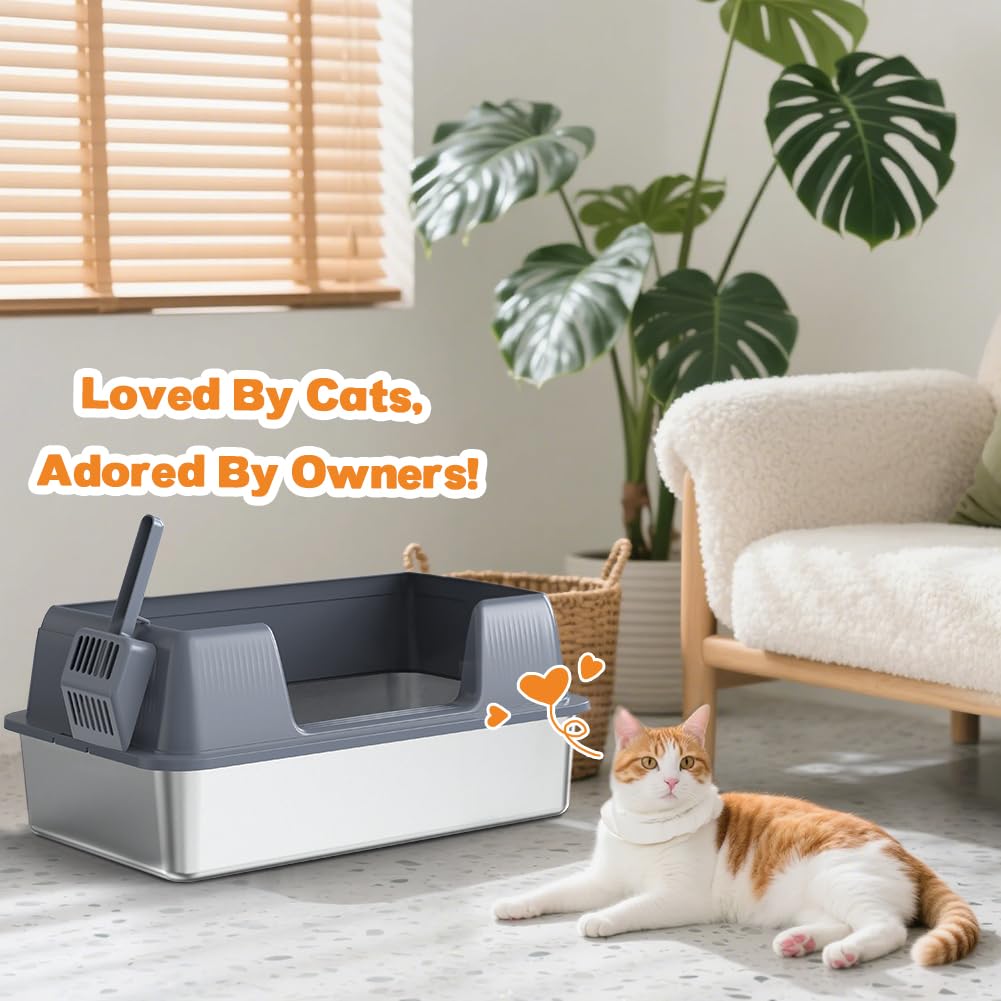 Vivifying scoop included image reinforces convenient daily cleaning.