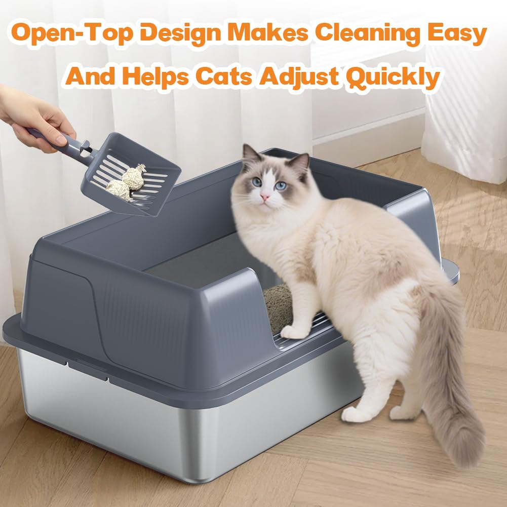 Vivifying open-top design illustration highlights visibility and comfort.