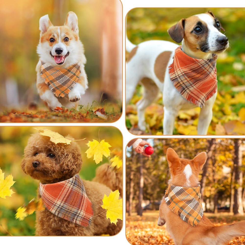 Vivifying two-pack dog bandana packaging highlighting giftable set