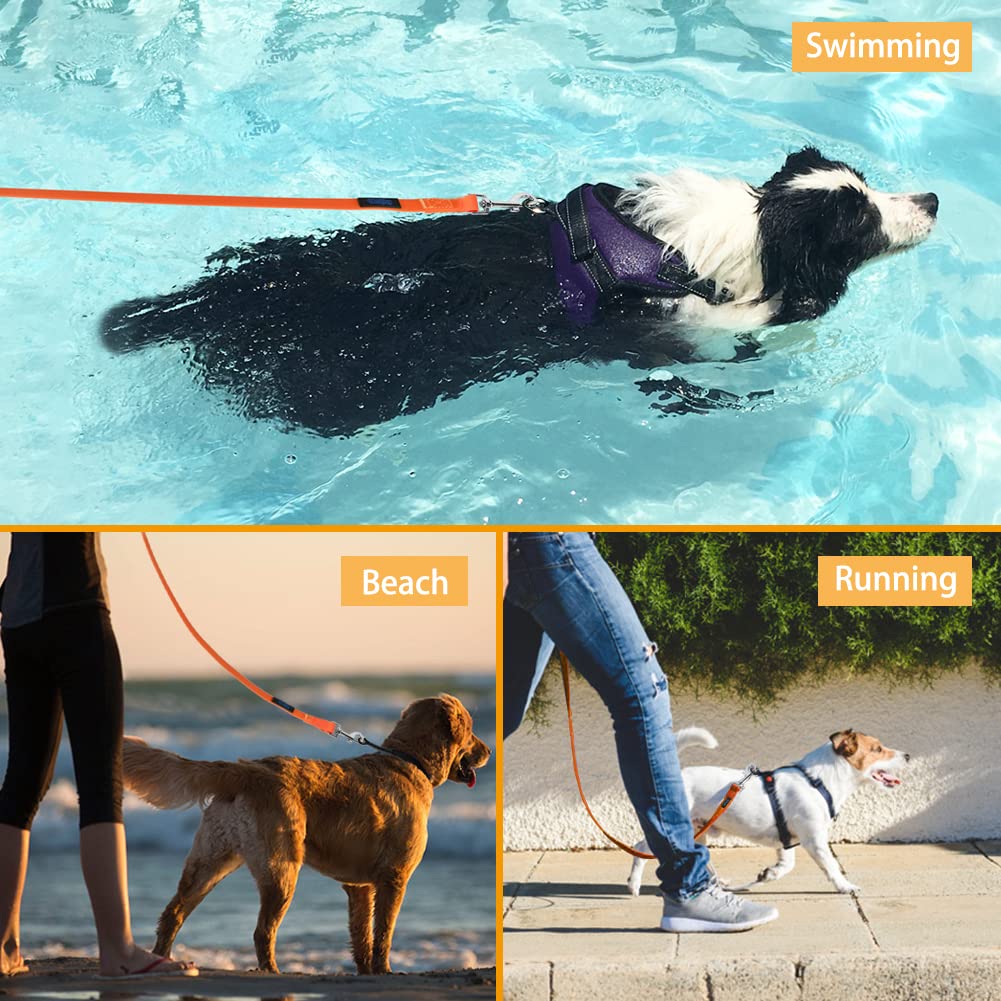 Vivifying durable leash with 360° rotation for flexible playtime