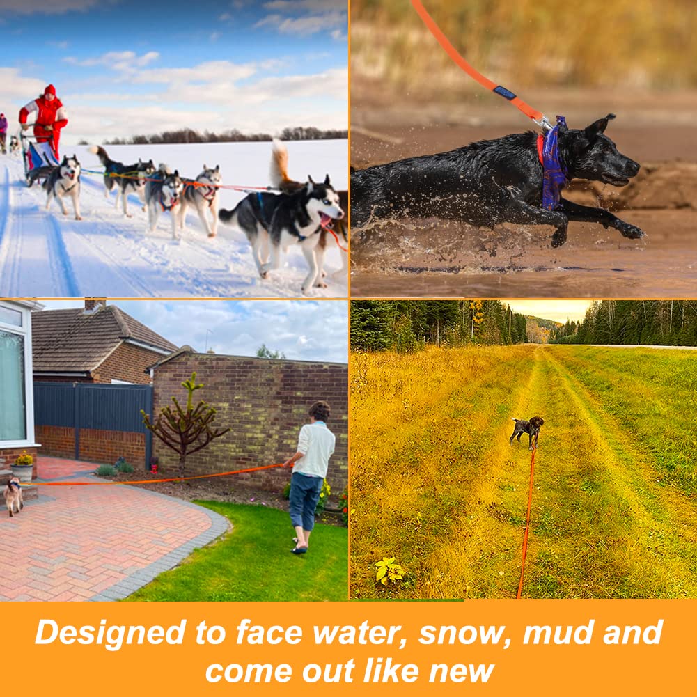 Vivifying 20ft leash ready for swimming and beach adventures