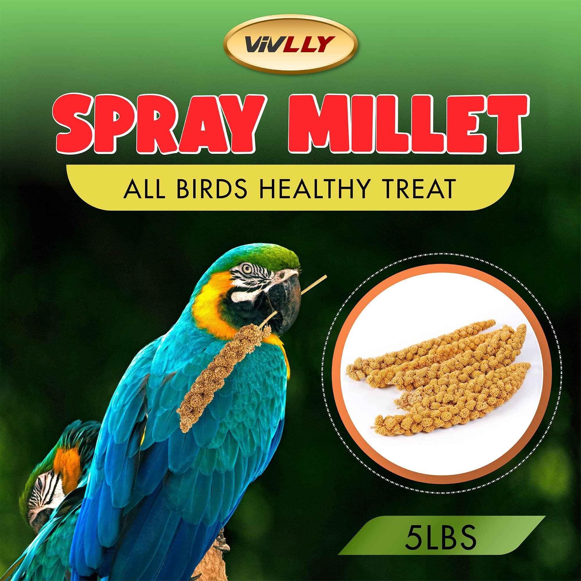 Vivlly 5lbs bulk-pack spray millet ready for repeated bird snacking