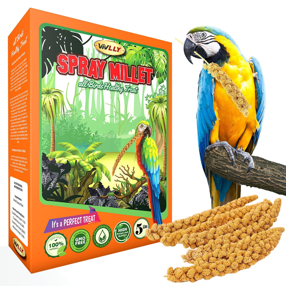 Vivlly parakeet feeding scene shows birds enjoying tasty non-GMO snack